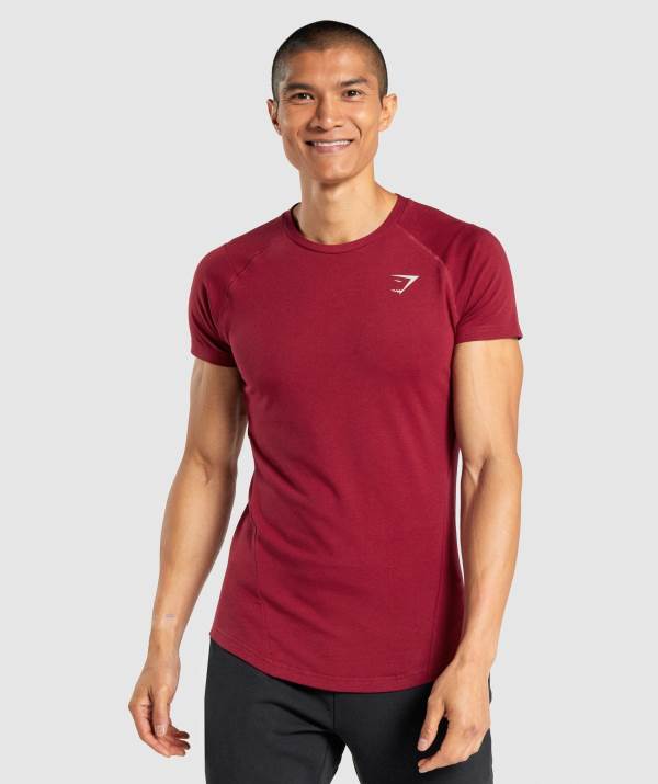 Panske Tricka Gymshark Bold Bordove | EJ2038945